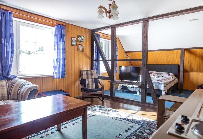 اتاق استاندارد, Vila Poilsis Nidoje