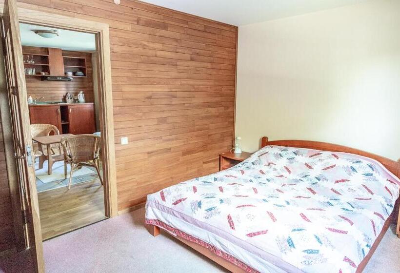 آپارتمان 1 خوابه, Vila Poilsis Nidoje