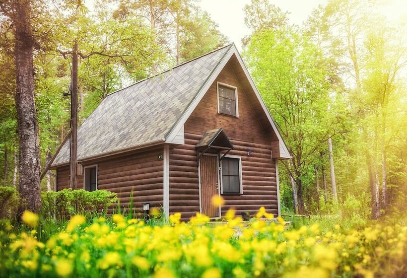 1间卧室的房子, Baza Otdykha Rybachiy Bereg