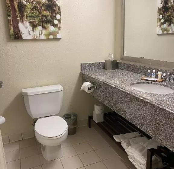 اتاق استاندارد با تخت بزرگ, Comfort Inn & Suites New Orleans Airport North