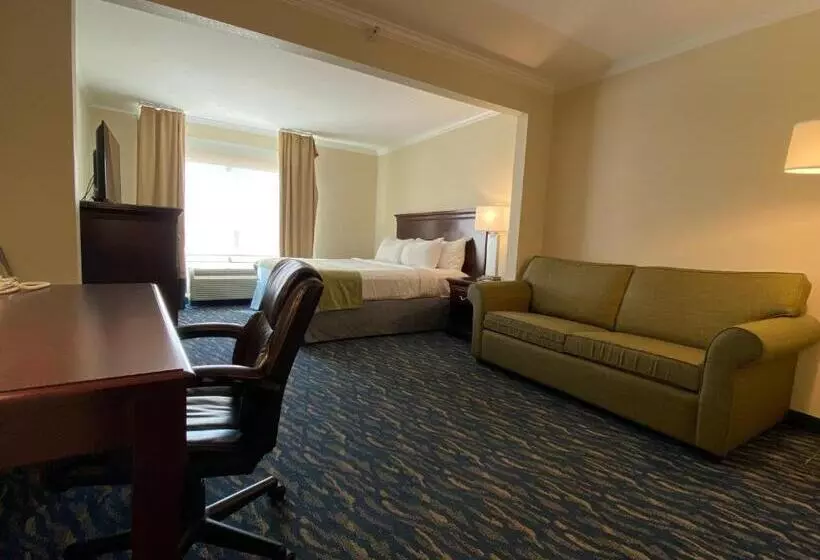 اتاق استاندارد با تخت بزرگ, Comfort Inn & Suites New Orleans Airport North