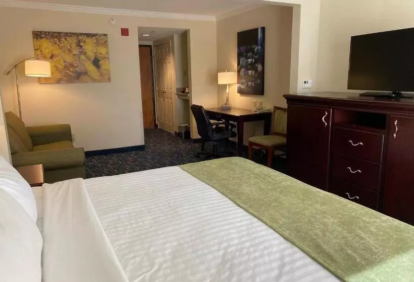 اتاق استاندارد با تخت بزرگ, Comfort Inn & Suites New Orleans Airport North