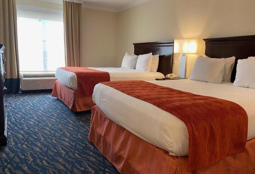 اتاق استاندارد, Comfort Inn & Suites New Orleans Airport North
