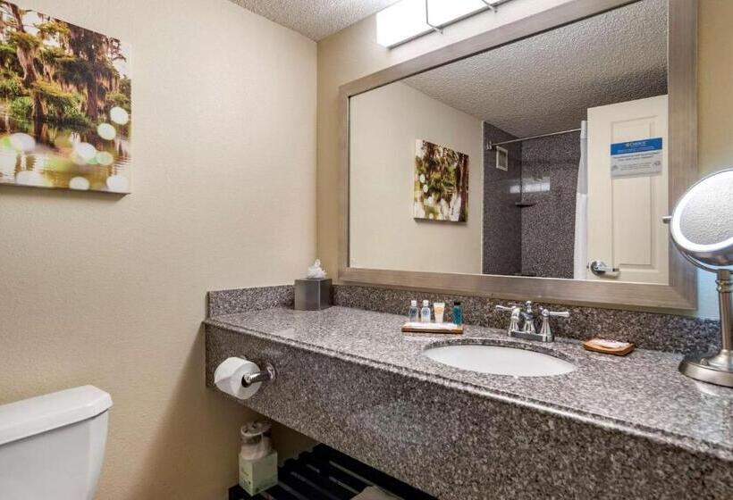 Standard Room, Comfort Inn & Suites New Orleans Airport North