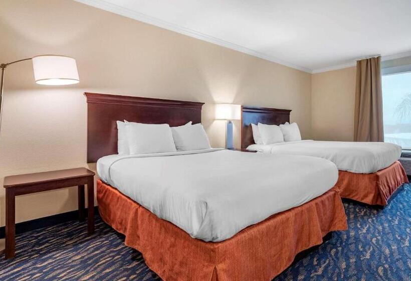 اتاق استاندارد, Comfort Inn & Suites New Orleans Airport North