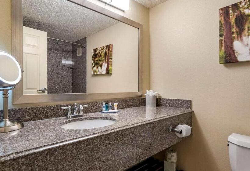 Suite King Bed, Comfort Inn & Suites New Orleans Airport North