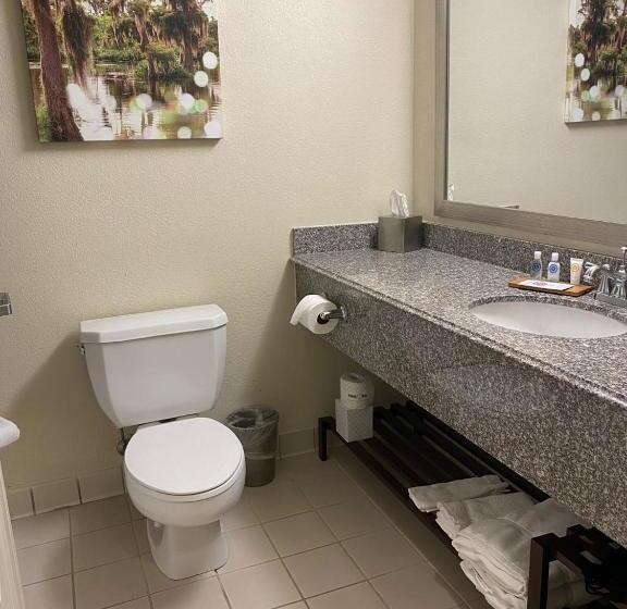 Deluxe Suite King Bed, Comfort Inn & Suites New Orleans Airport North