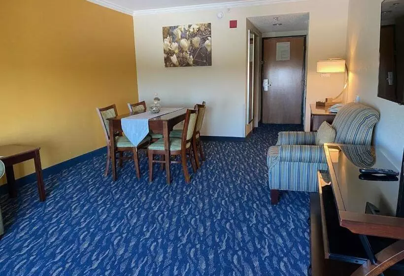 Deluxe Suite King Bed, Comfort Inn & Suites New Orleans Airport North