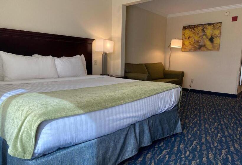 اتاق استاندارد با تخت بزرگ برای معلولان, Comfort Inn & Suites New Orleans Airport North