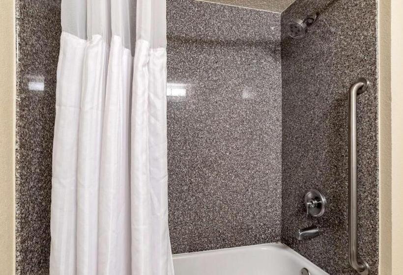 اتاق استاندارد با تخت بزرگ برای معلولان, Comfort Inn & Suites New Orleans Airport North