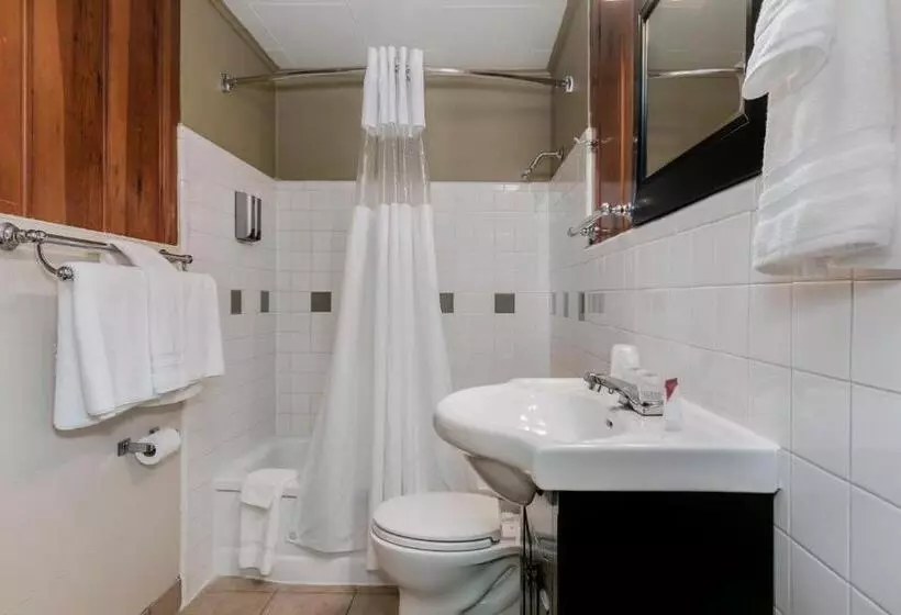 اتاق لوکس با تخت دو نفره بزرگ, Courtesy Inn Downtown Eugene