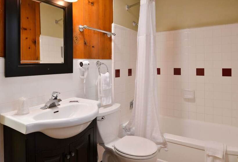 חדר סטנדרט, Courtesy Inn Downtown Eugene