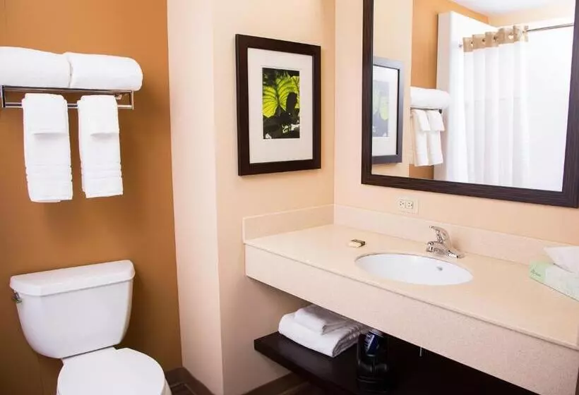 デラックススタジオ, Extended Stay America Suites  Anchorage  Downtown