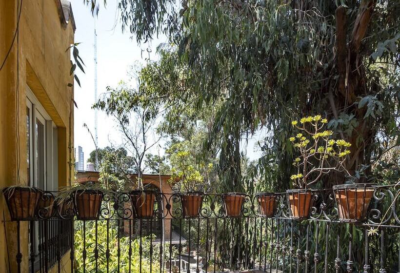 غرفه قياسيه سريرين مزدوجين, Hacienda Del Molino