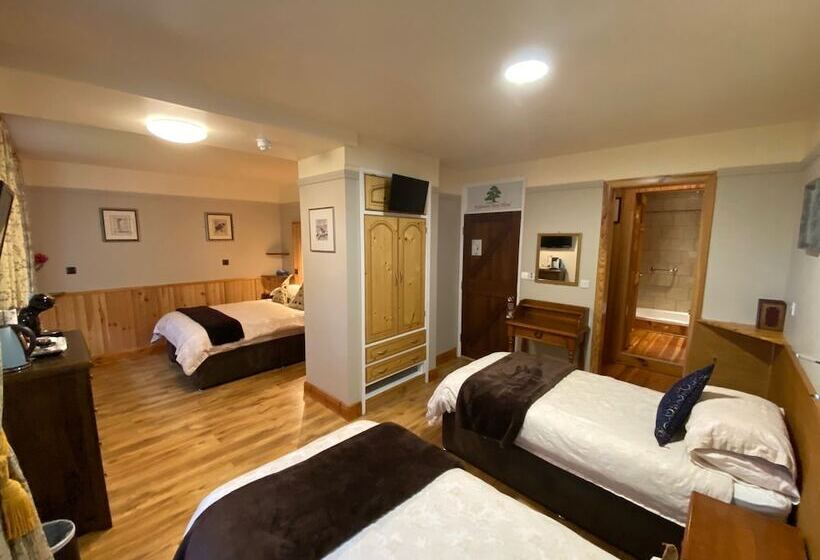 스탠다드 트리플 룸, Kylemore Pass