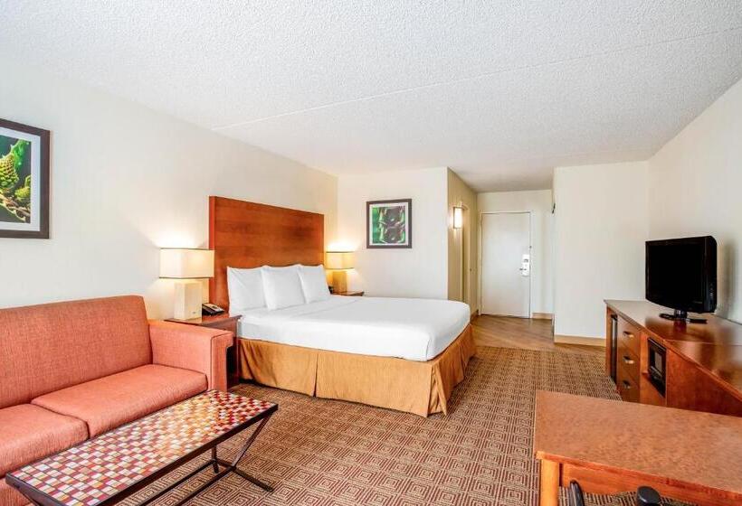 سوئیت با تخت بزرگ, La Quinta By Wyndham Danbury