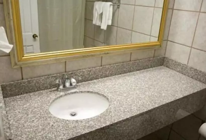 اتاق استاندارد با 2 تخت دوبل, Alpine Inn & Suites Rockford