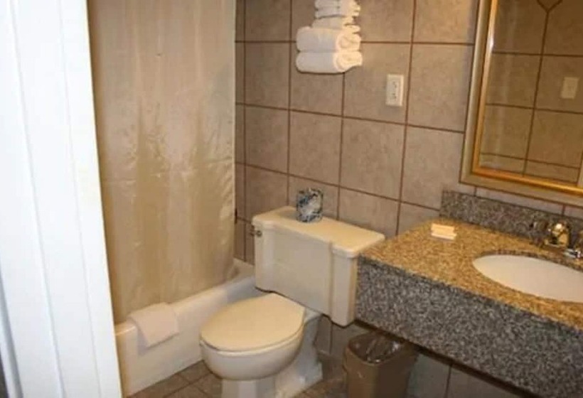 Pokój Standard 2 Łóżka Małżeńskie, Alpine Inn & Suites Rockford