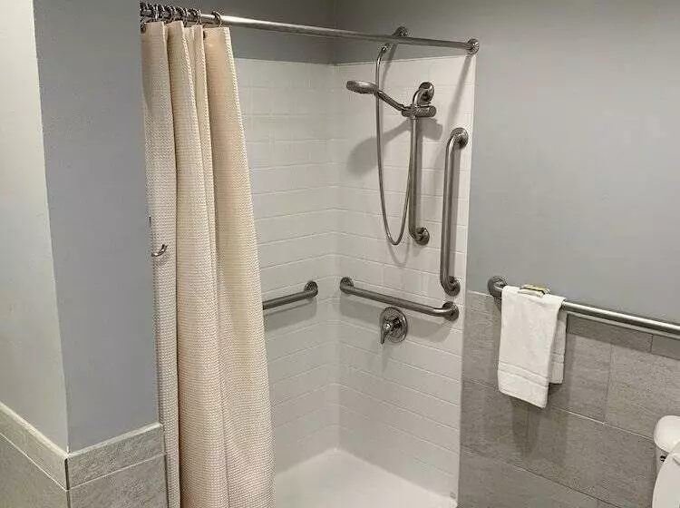 اتاق استاندارد با تخت بزرگ برای معلولان, Alpine Inn & Suites Rockford