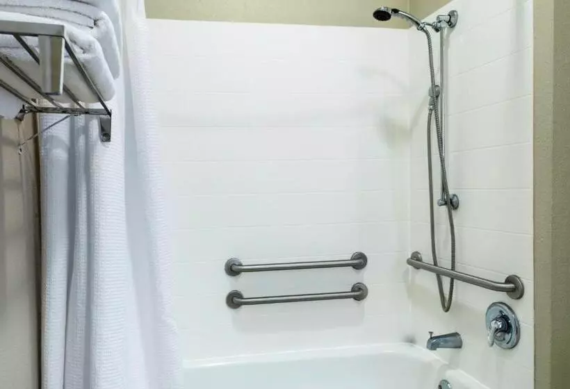 キングサイズベッドのスタンダードルーム, Springhill Suites By Marriott Baton Rouge South