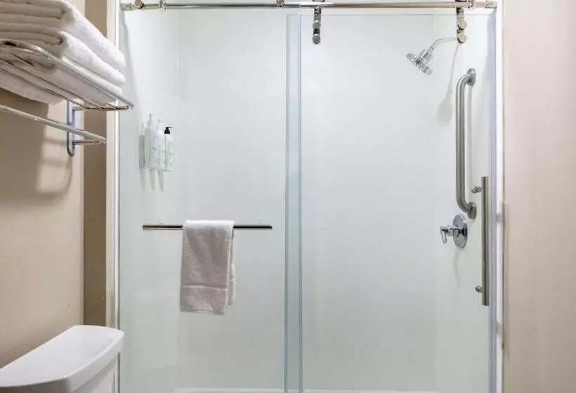 キングサイズベッドのスタンダードルーム, Springhill Suites By Marriott Baton Rouge South