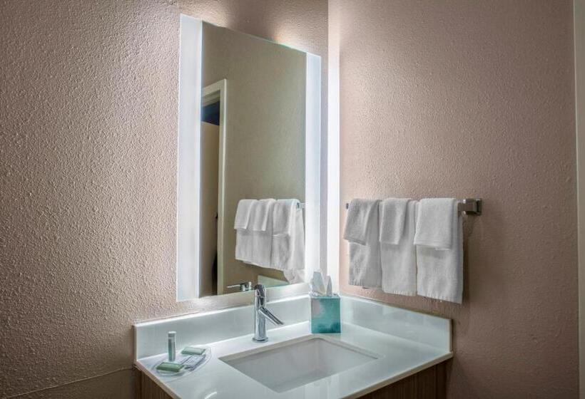 스탠다드 룸 킹사이즈 침대, Springhill Suites By Marriott Baton Rouge South