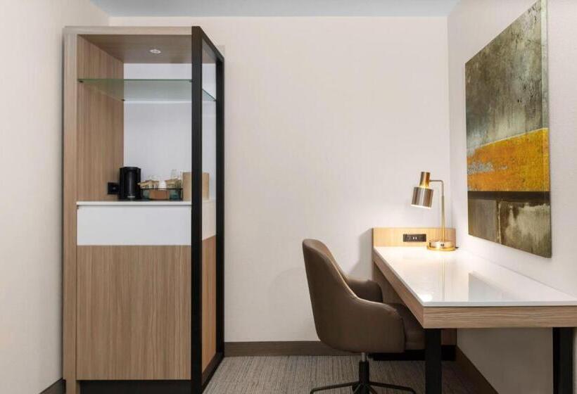 اتاق استاندارد با تخت بزرگ, Springhill Suites By Marriott Baton Rouge South