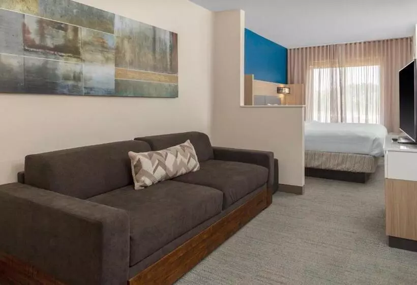 キングサイズベッドのスタンダードルーム, Springhill Suites By Marriott Baton Rouge South