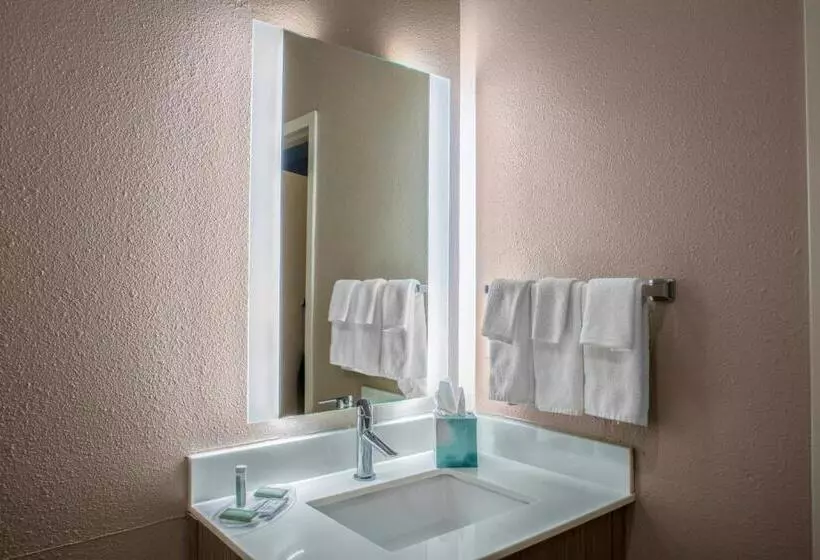 ２ダブルベッドのスタンダードルーム, Springhill Suites By Marriott Baton Rouge South