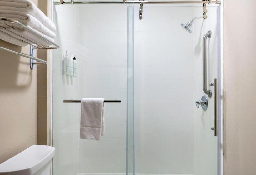 장애인을 위한 스위트, Springhill Suites By Marriott Baton Rouge South