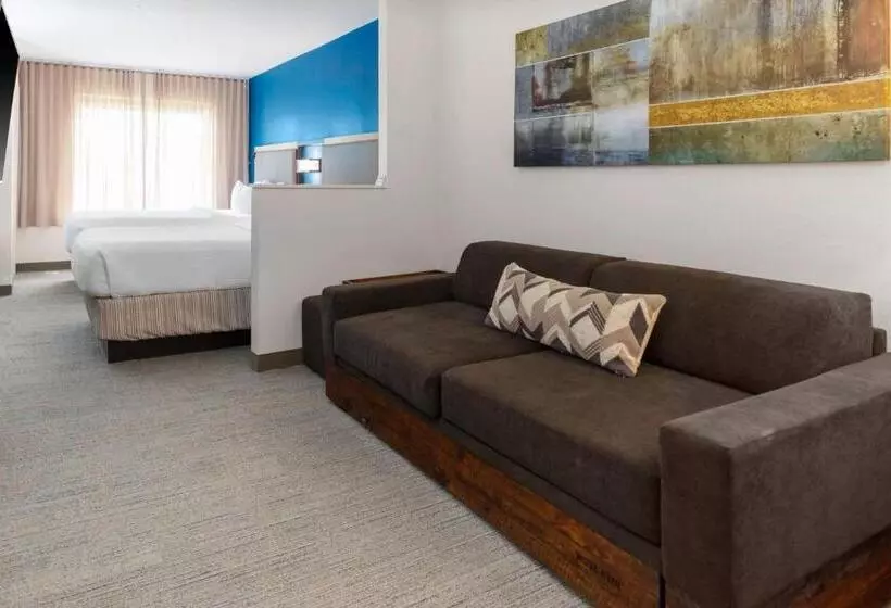 身障者適用スイートルーム, Springhill Suites By Marriott Baton Rouge South