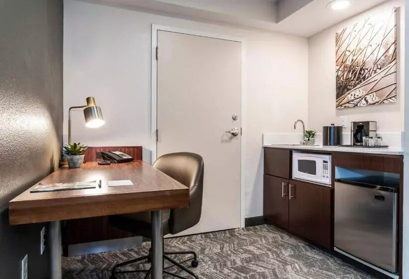 スタンダードスタジオ, Springhill Suites By Marriott Austin The Domain Area