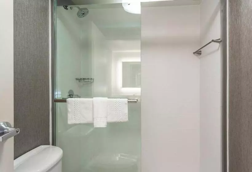 キングサイドベッドのスタンダードワンルーム, Springhill Suites By Marriott Austin The Domain Area