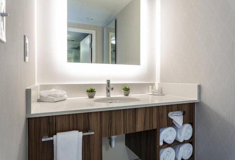 Studio Standard Lit King Size, Springhill Suites By Marriott Austin The Domain Area
