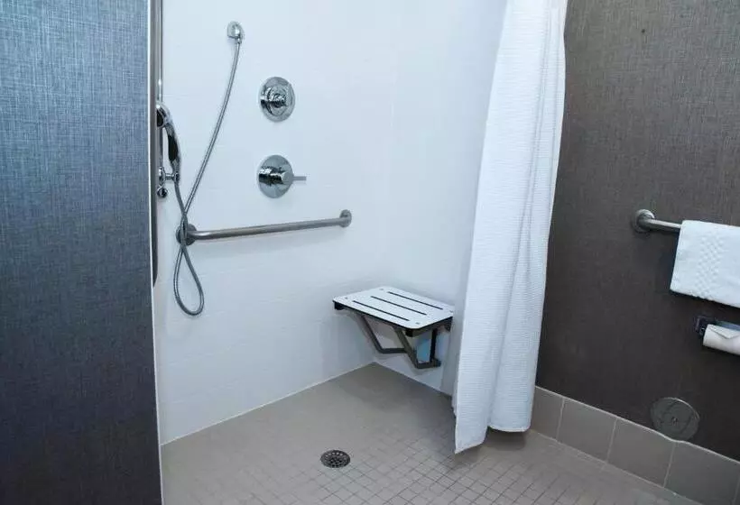 キングサイドベッドのスタンダードワンルーム, Springhill Suites By Marriott Austin The Domain Area