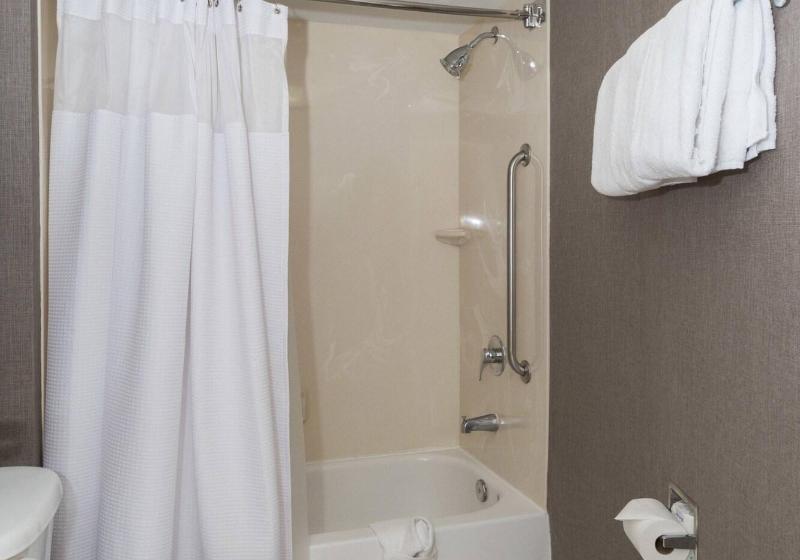 Студио Стандарт Кровать Кинг, Springhill Suites By Marriott Charlotte / Concord Mills Speedway