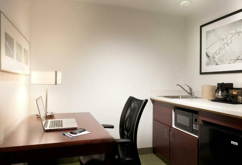 جناح سرير كينج, Springhill Suites Los Angeles Lax/manhattan Beach