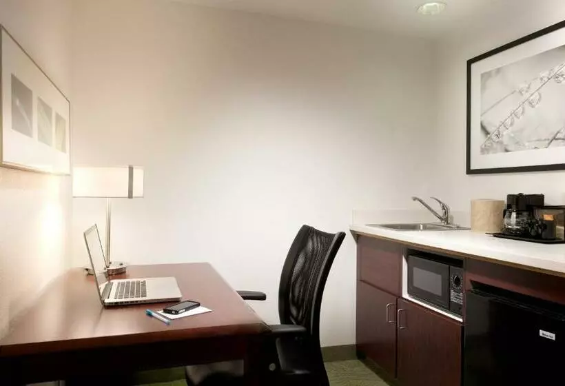 سوئیت با تخت بزرگ, Springhill Suites Los Angeles Lax/manhattan Beach