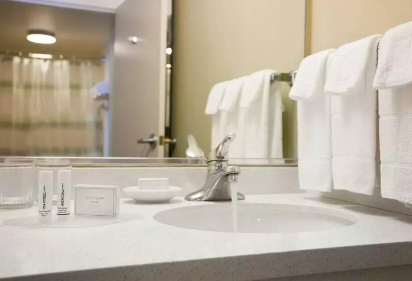سوئیت با تخت بزرگ, Springhill Suites Los Angeles Lax/manhattan Beach