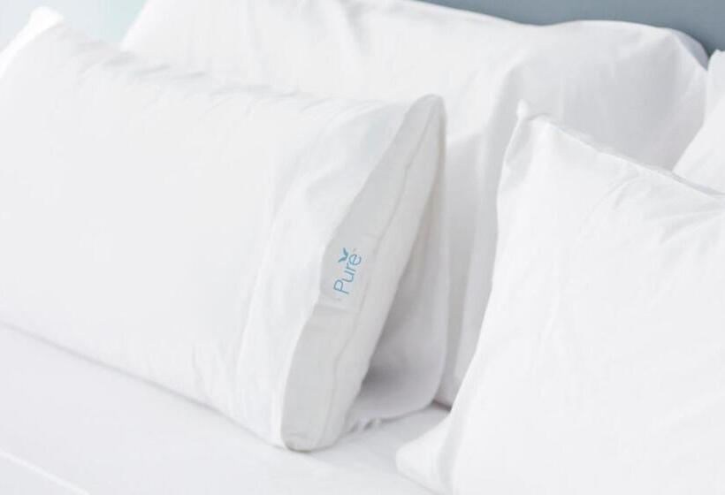 스위트 킹사이즈 침대, Springhill Suites Los Angeles Lax/manhattan Beach