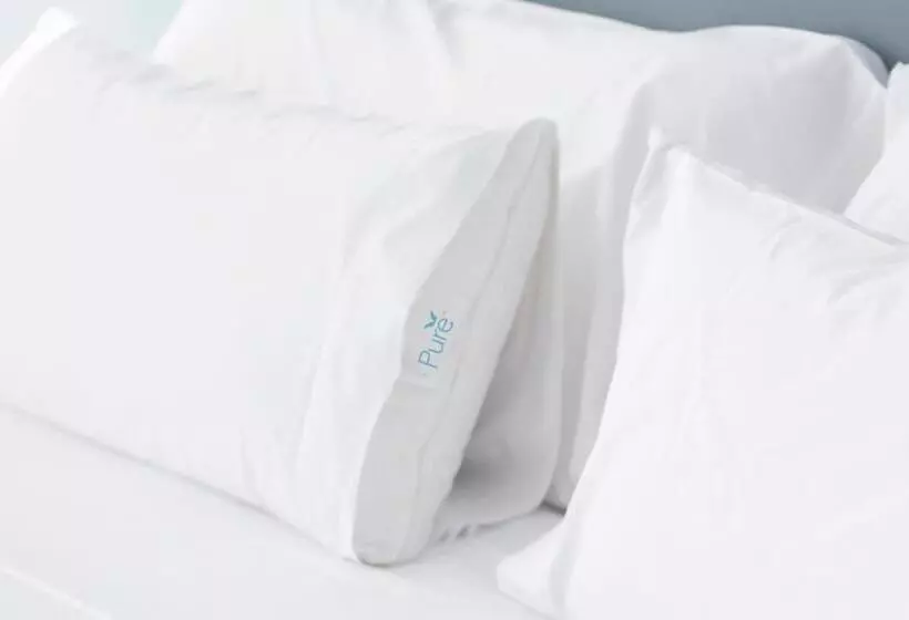 سوئیت با تخت بزرگ, Springhill Suites Los Angeles Lax/manhattan Beach