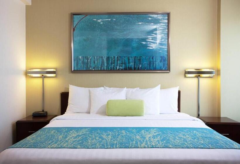 جناح لذوى الاحتياجات الخاصة, Springhill Suites Los Angeles Lax/manhattan Beach