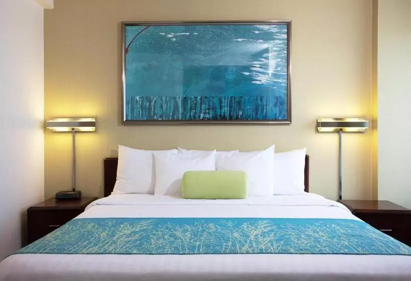 سوئیت برای معلولان, Springhill Suites Los Angeles Lax/manhattan Beach