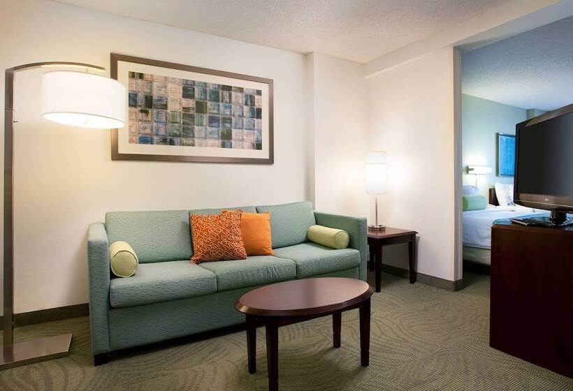جناح لذوى الاحتياجات الخاصة, Springhill Suites Los Angeles Lax/manhattan Beach