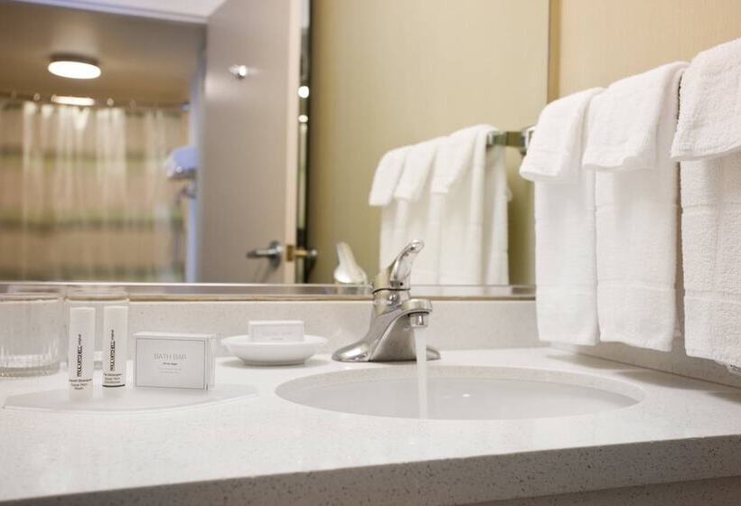 جناح لذوى الاحتياجات الخاصة, Springhill Suites Los Angeles Lax/manhattan Beach