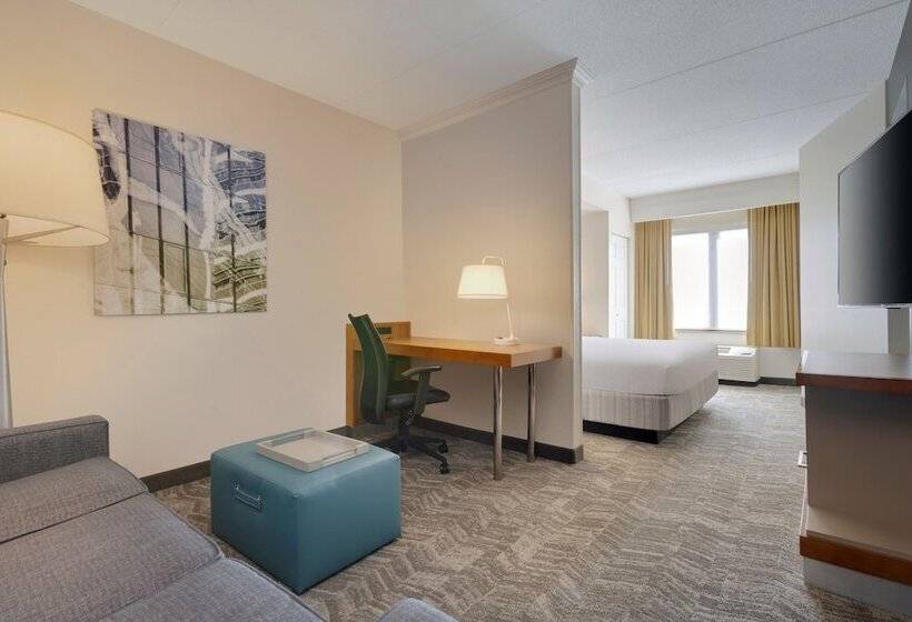 スイート, Springhill Suites By Marriott Newark International Airport