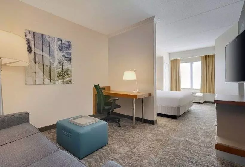سوییت, Springhill Suites By Marriott Newark International Airport