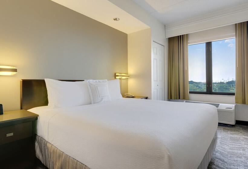 스위트, Springhill Suites By Marriott Newark International Airport