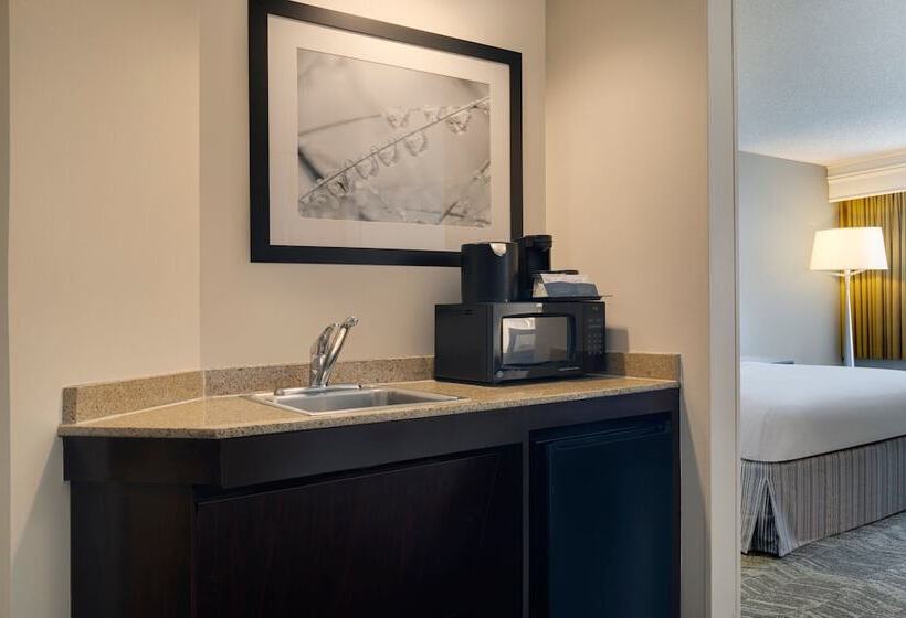スイート, Springhill Suites By Marriott Newark International Airport