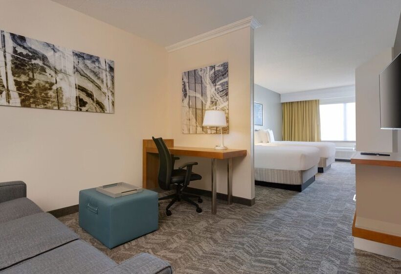 スイート, Springhill Suites By Marriott Newark International Airport